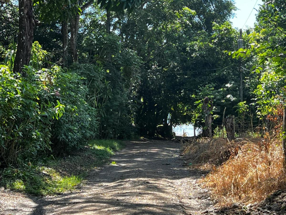 Las Plumas De Cabuya Cabuya  Buitenkant foto